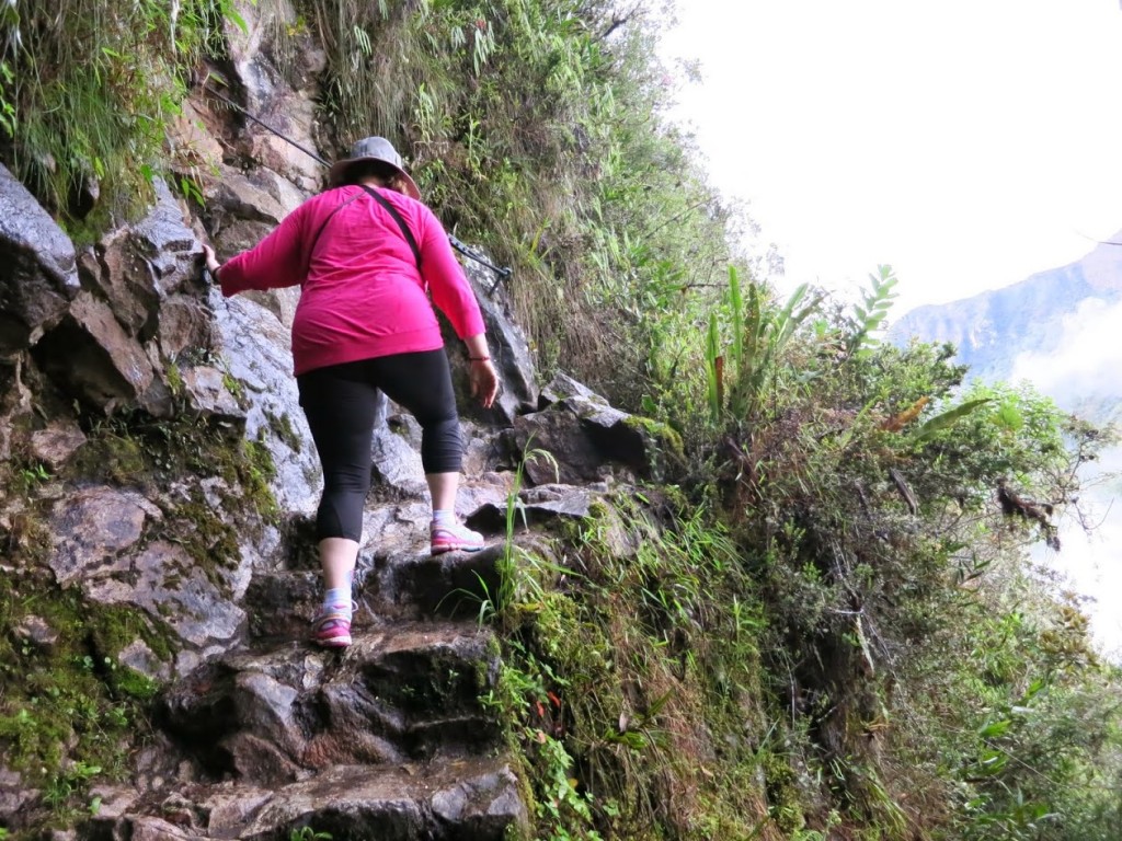 wayna_picchu_ass