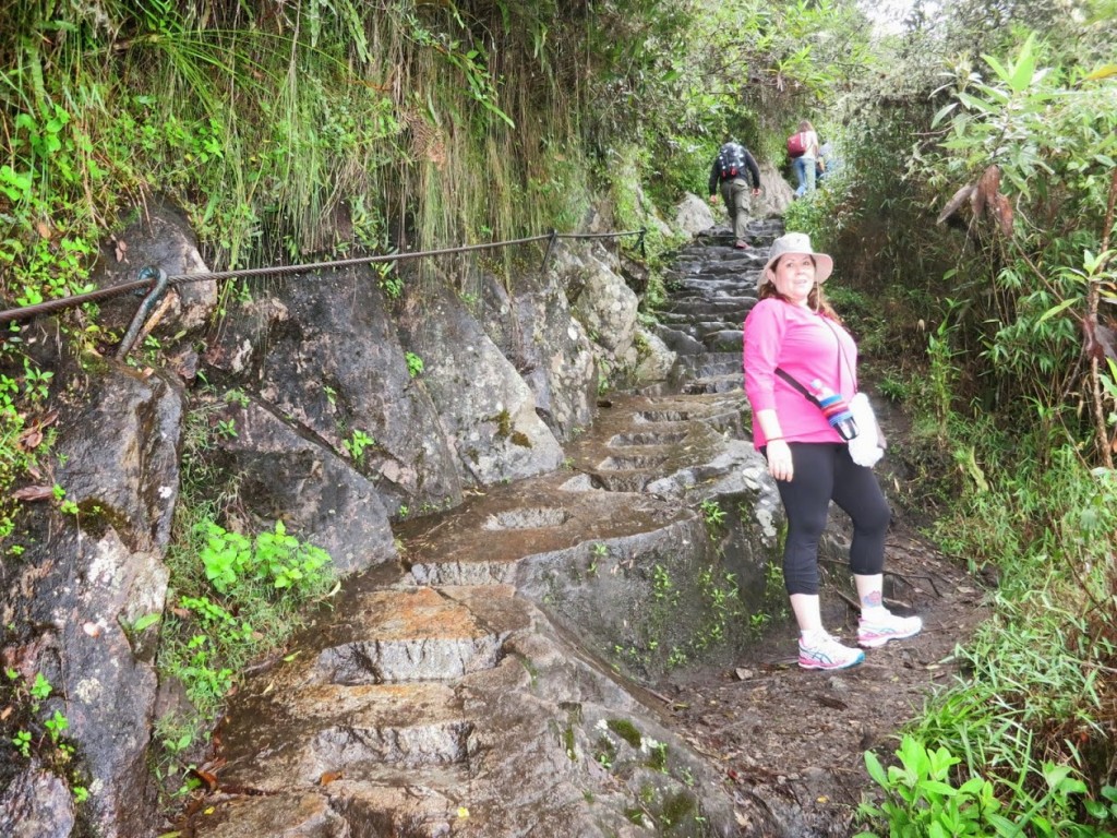 Waynu Picchu